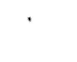 253697661