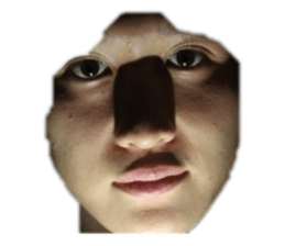 253702816