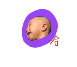 253705836