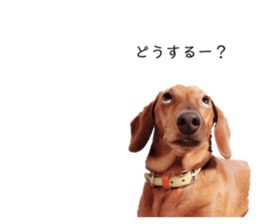 253712862