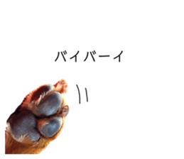 253712866