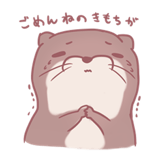 253716206