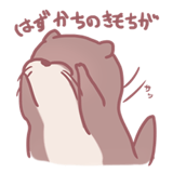 253716208