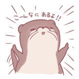 253716210