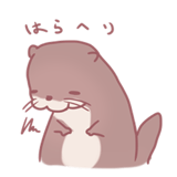 253716213