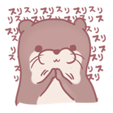 253716216