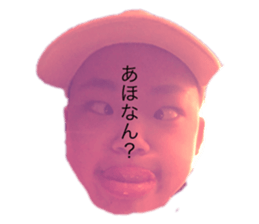 253725042