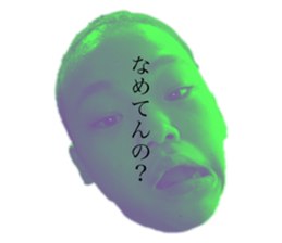 253725044