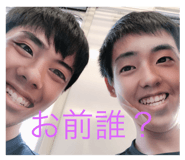 253729811