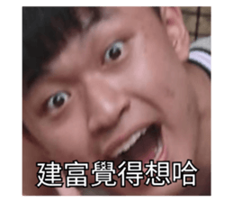 253735633