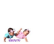 253746051