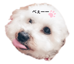 253757175