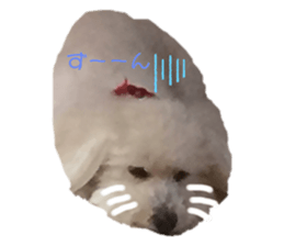 253757177