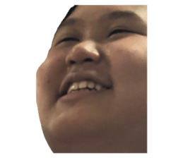 253762911