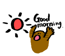 2537638