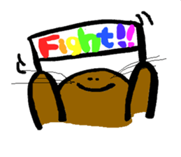 2537658