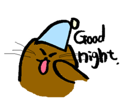2537675