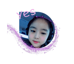 253769041