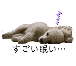 253771510