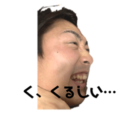 253773501