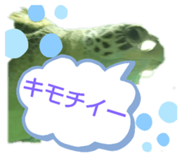 253783999