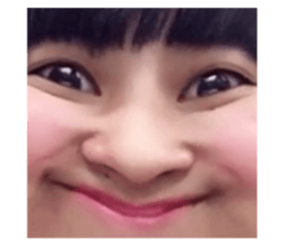 253784467