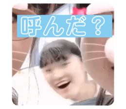 253784468