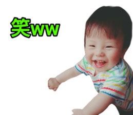 253796512