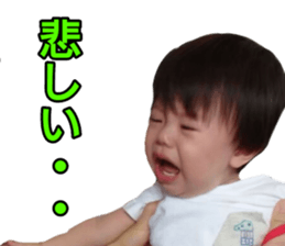 253796525