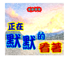 253800731