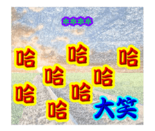 253800733