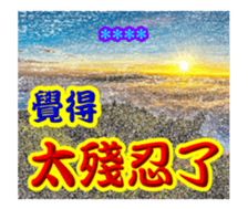 253800736