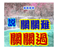 253800743