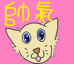 253813863