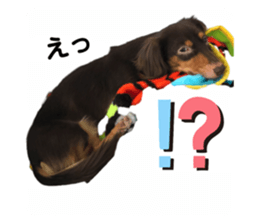 253821291