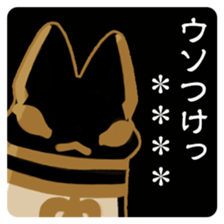 253825116