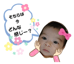253831343