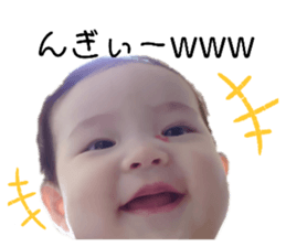 253888405