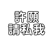 253919529