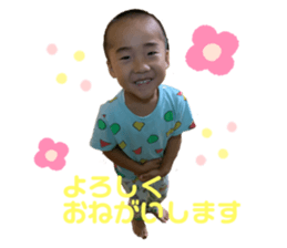 253937505
