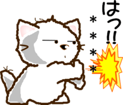 253944936
