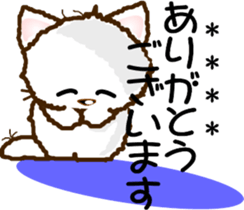 253944948