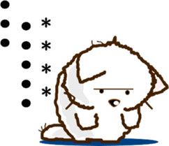 253944968
