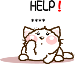 253944969