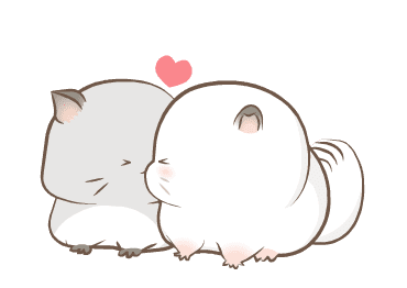 Simao & Bamao ชินชิลลานุ่มนิ่ม 3 รูปที่ 4