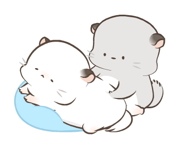 Simao & Bamao ชินชิลลานุ่มนิ่ม 3 รูปที่ 5