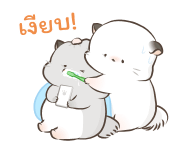 Simao & Bamao ชินชิลลานุ่มนิ่ม 3 รูปที่ 18