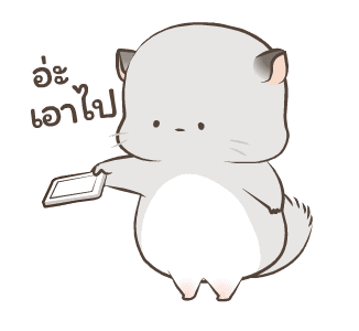 Simao & Bamao ชินชิลลานุ่มนิ่ม 3 รูปที่ 21