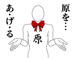 25415491