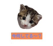 254189014